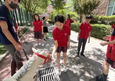 Canadian International School of Beijing campus
